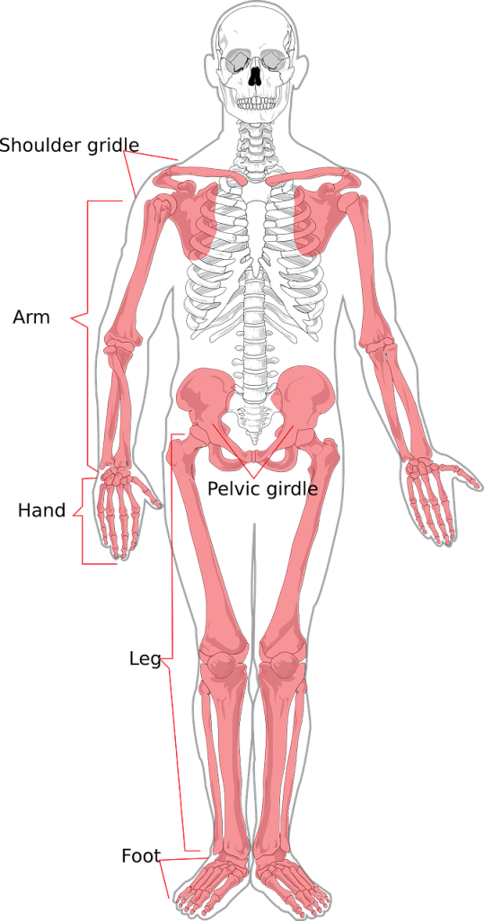 Psoriasis and Joint pain