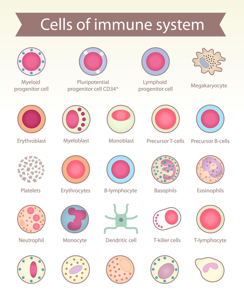 psoriasis and immune system.