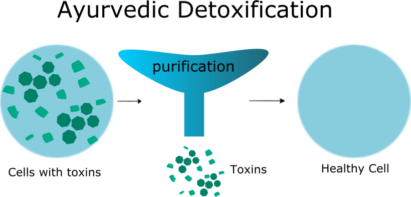 Ayurvedic Detoxification for Psoriasis