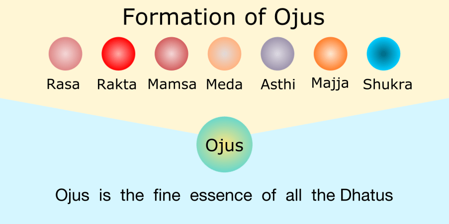 Formation of Ojus
