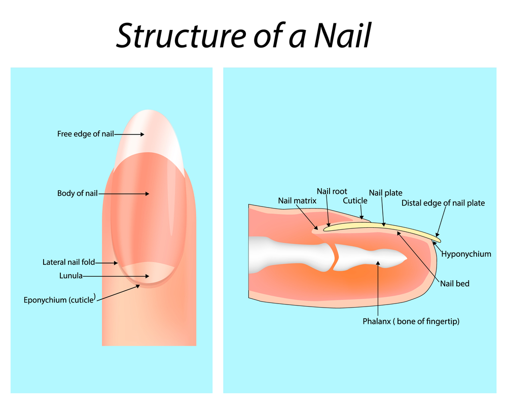 Nail structure